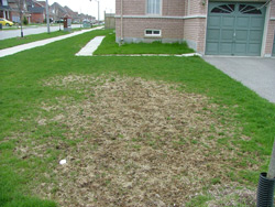 Lawn Care Services Grand Blanc, MI